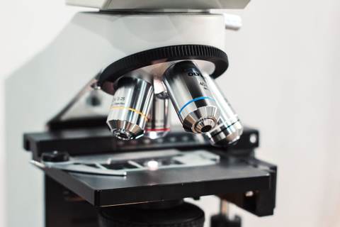 Micron (MU) Earnings Loom as AI Jitters Grip Market