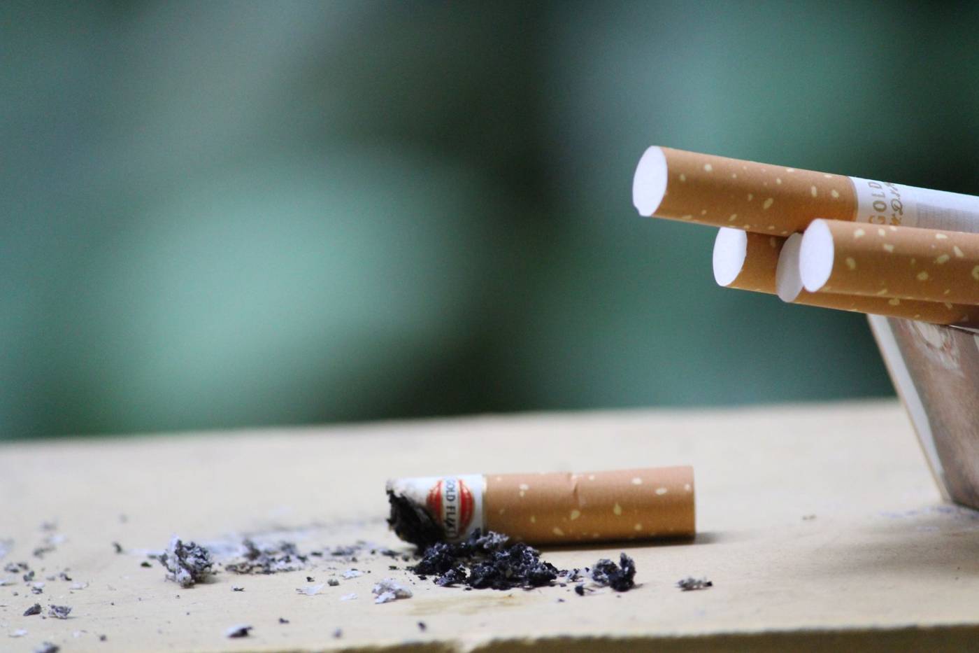 Philip Morris (PM) EU Advocacy and Dividend Update